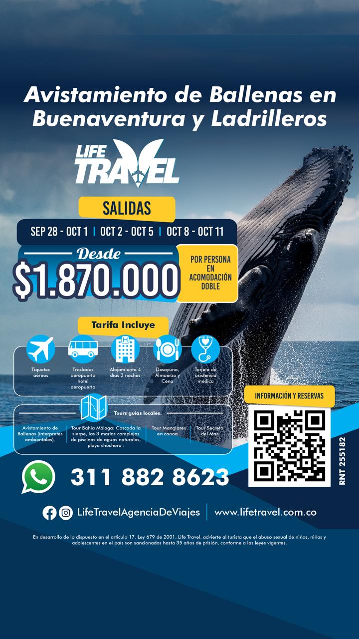 ballenas lifetravel ok